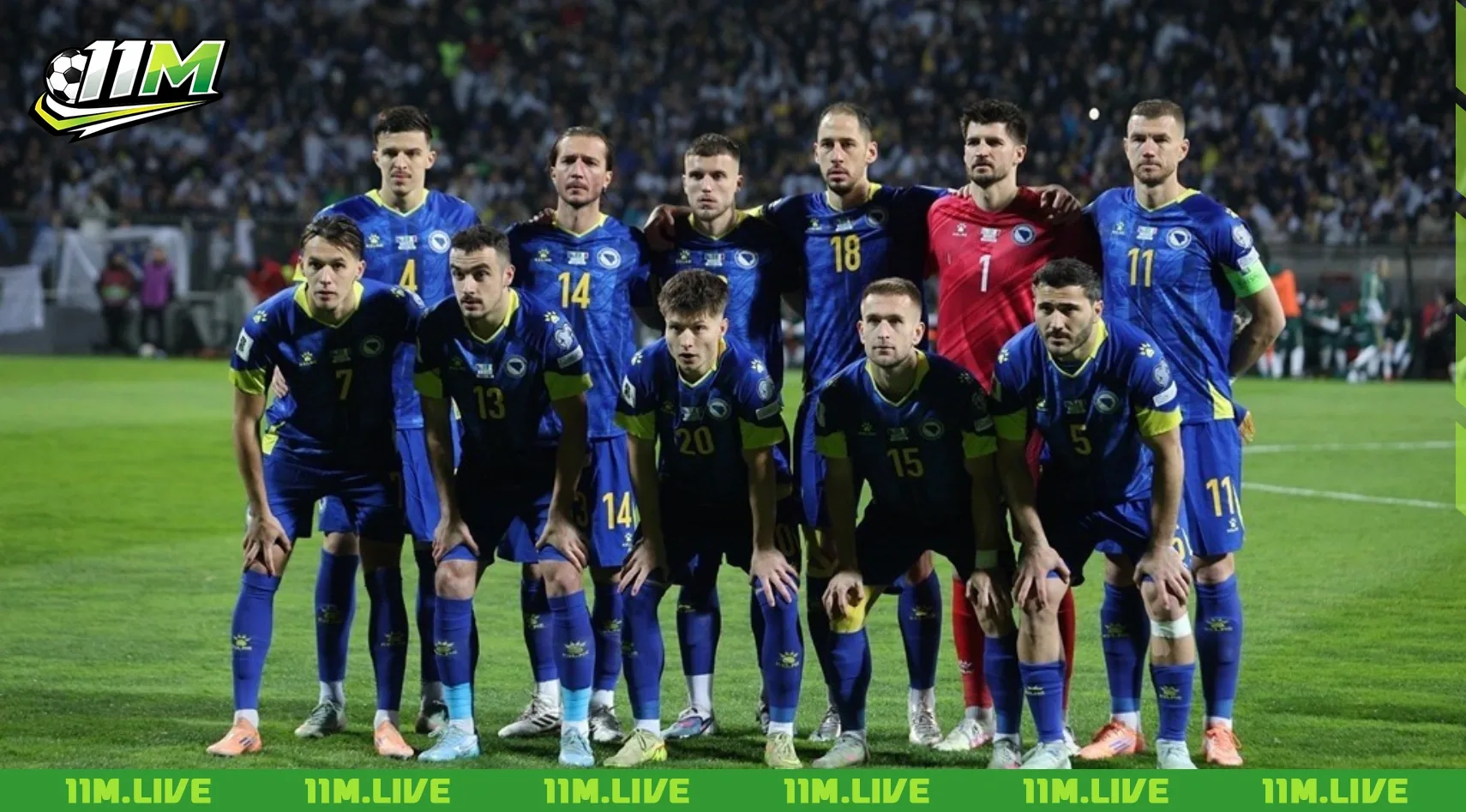 đội tuyển bóng đá quốc gia bosna và hercegovina